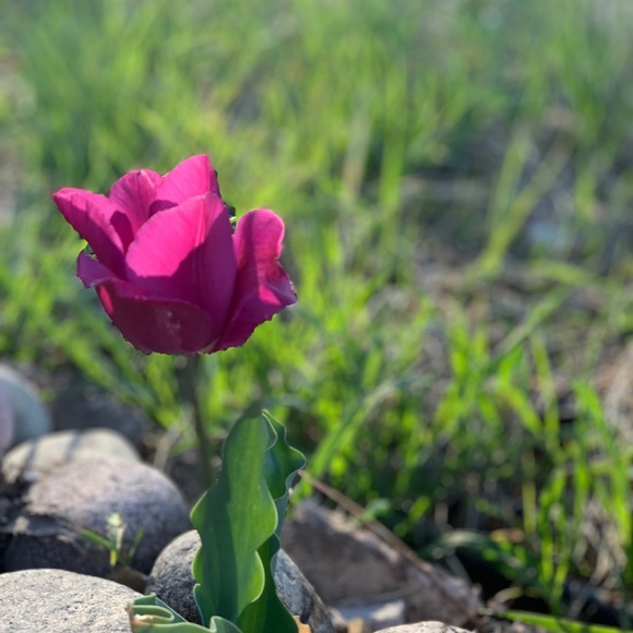 Welcome to my closet!! Enjoy a variety of styles🔥 - Picture 5 of 8